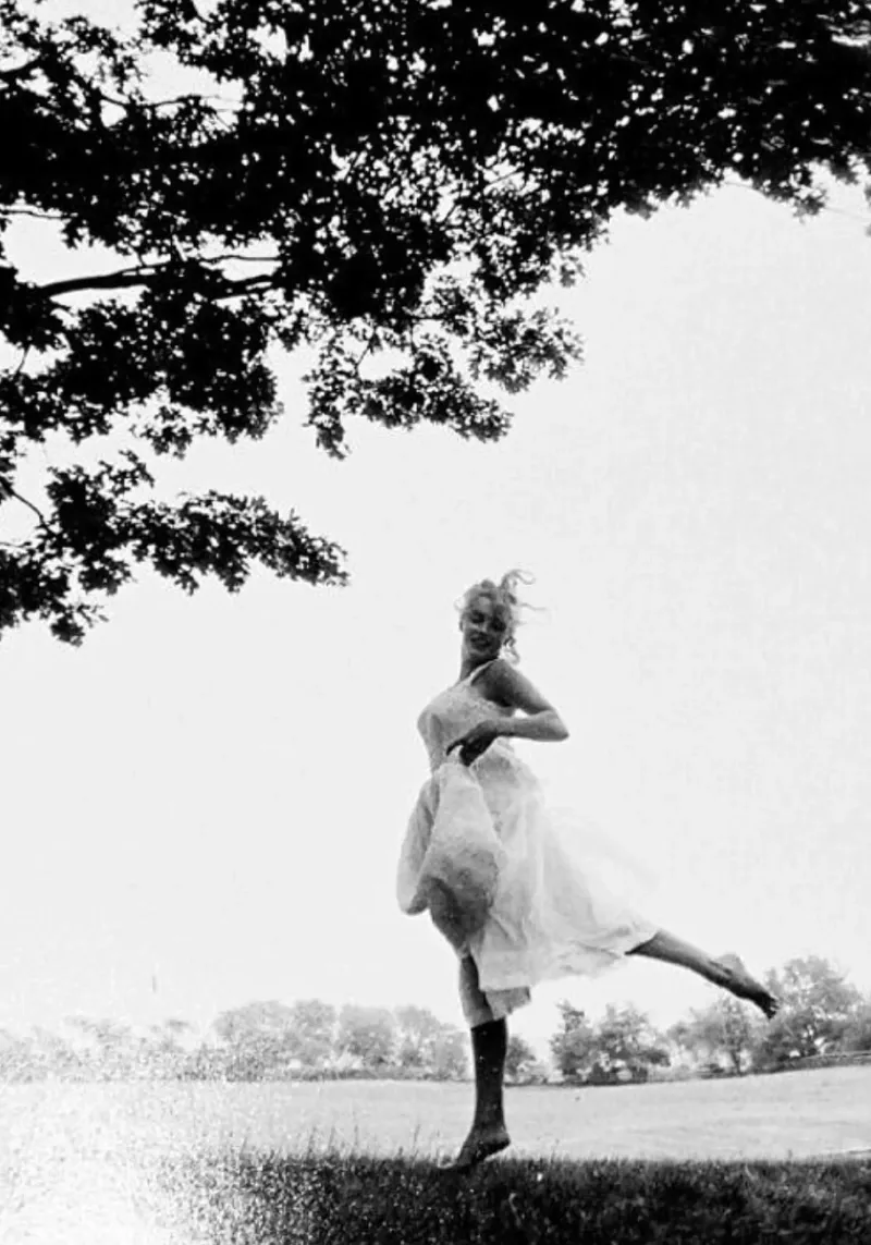 Taylor Swifts Tanzen Hahnemühle von Taylor collection