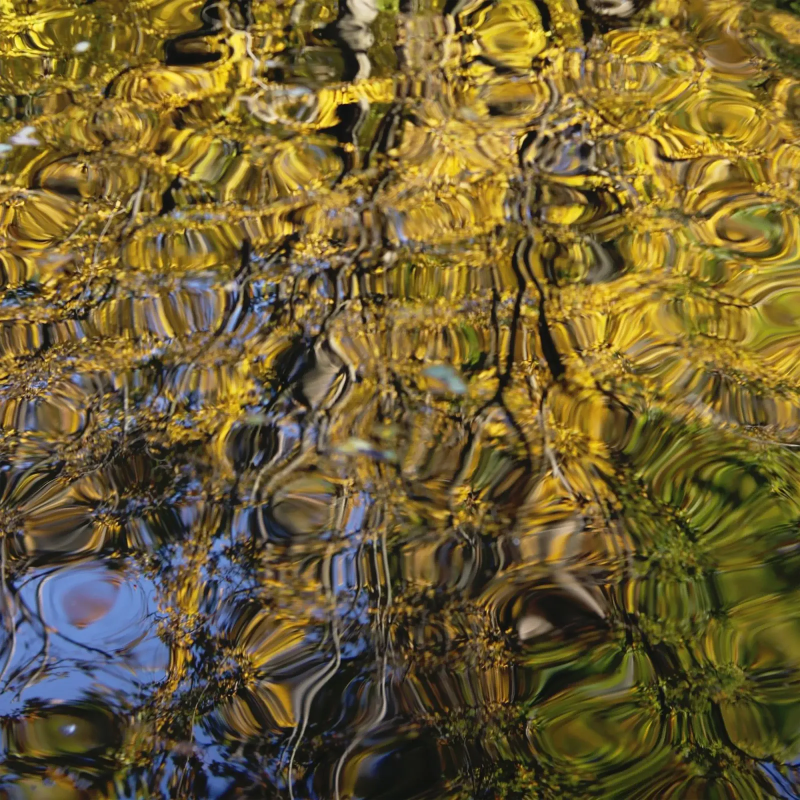 Goldwasser | o3 carta hahnemühle da steffi | wasserwelt
