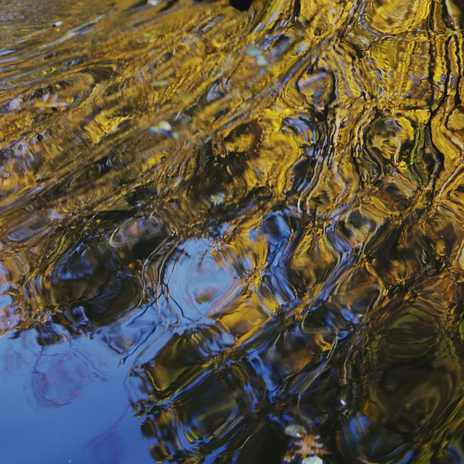 Goldwasser | o5 carta hahnemühle da steffi | wasserwelt