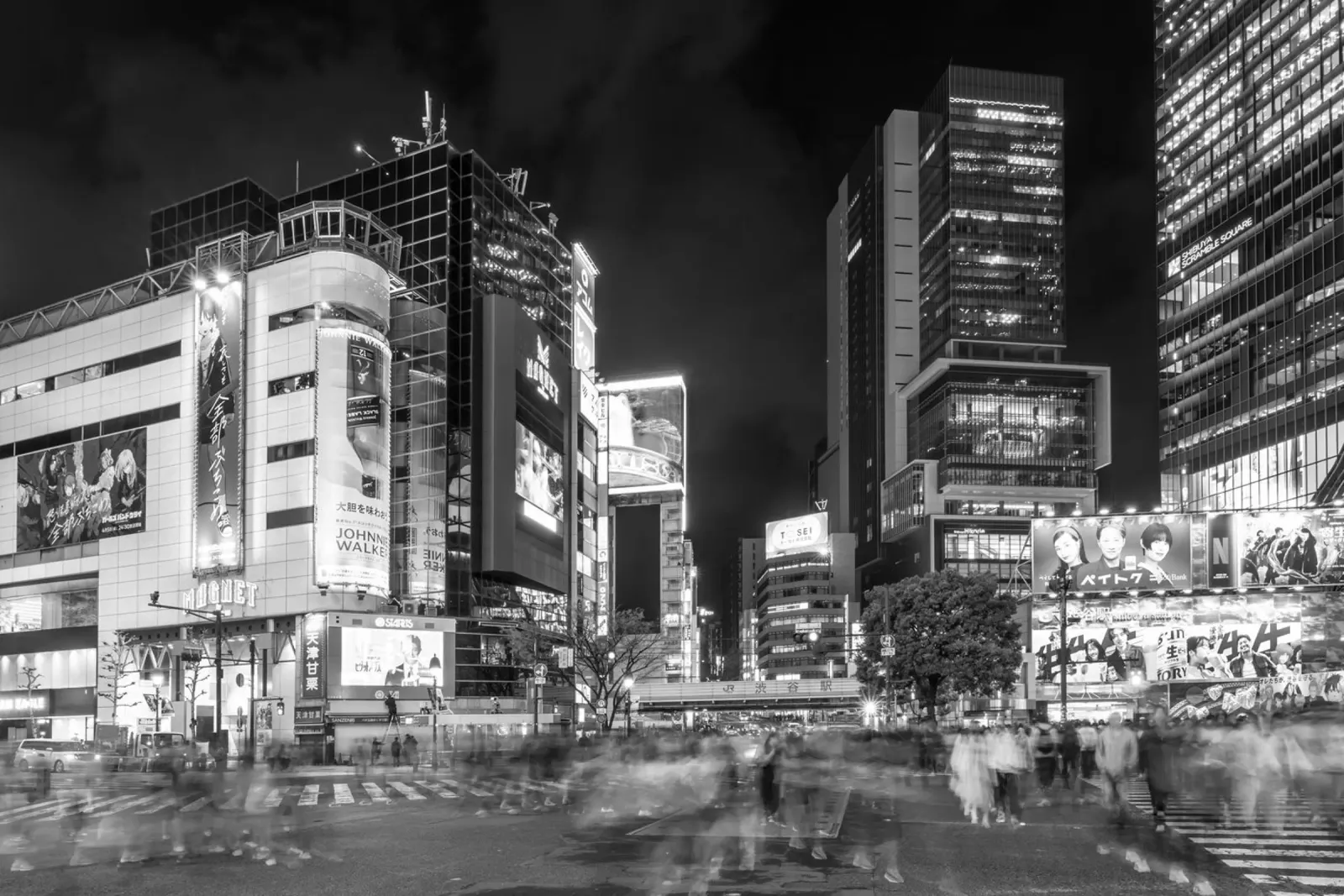 Hustle and bustle at the Shibuya intersection in Tokyo | monochrom alu-dibond by Melanie Viola