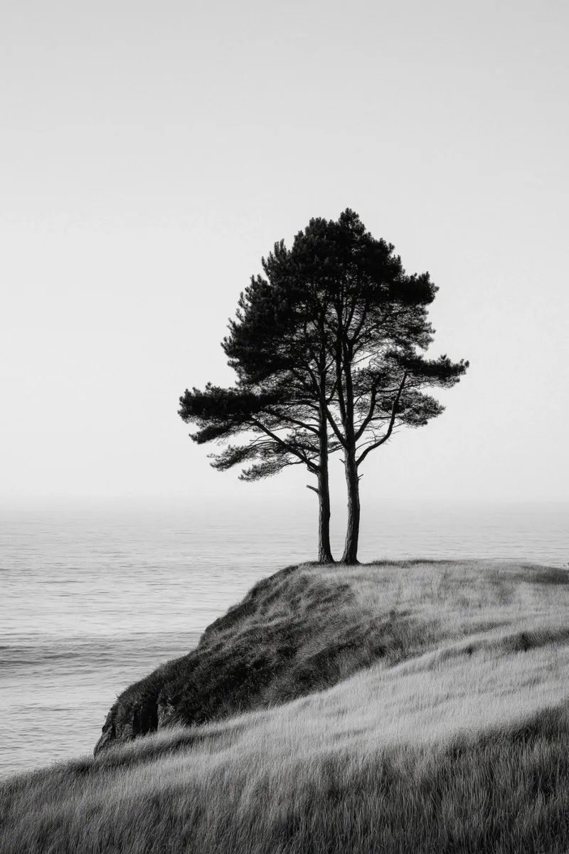 Lone Tree on Cliff Edge hahnemühle by Indigo Tides Art