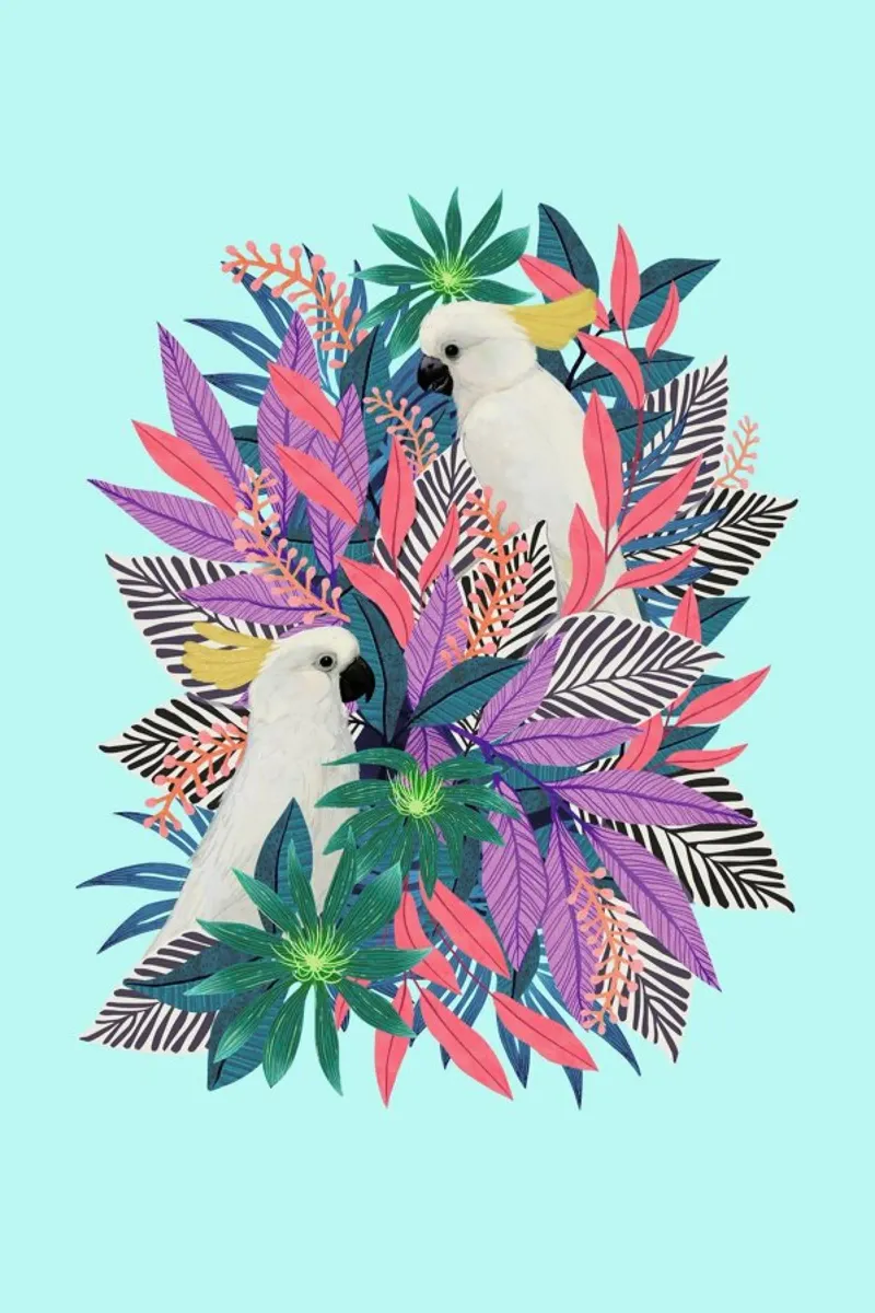 Colourful Tropical Cockatoos carta hahnemühle da Laura Graves