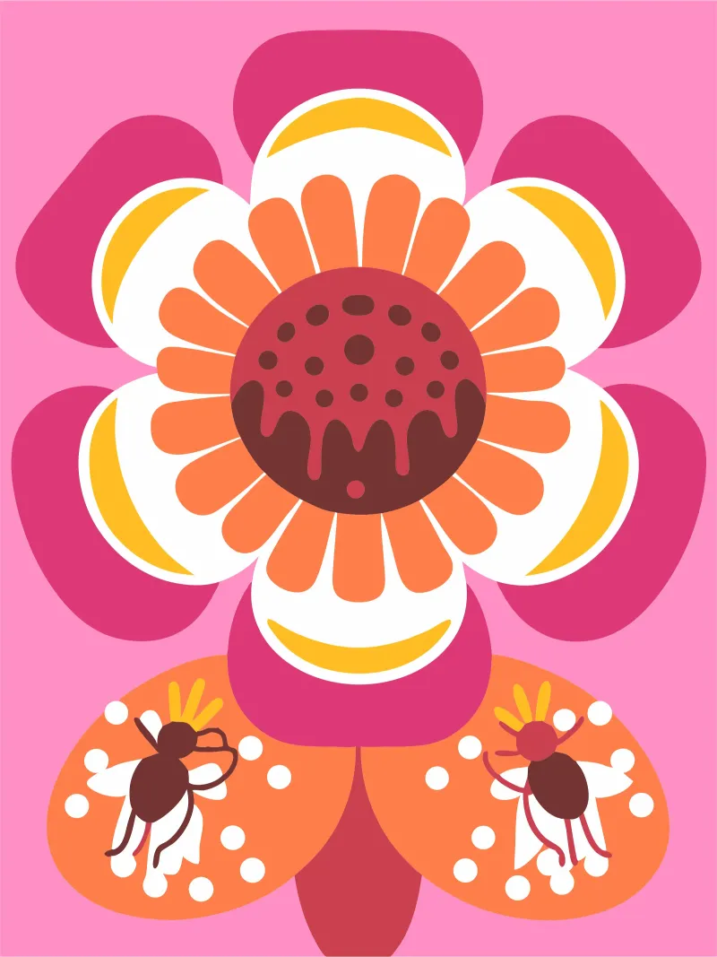 fiori di rafflesia pellicola backlit da FLOWER PLACE SHOP