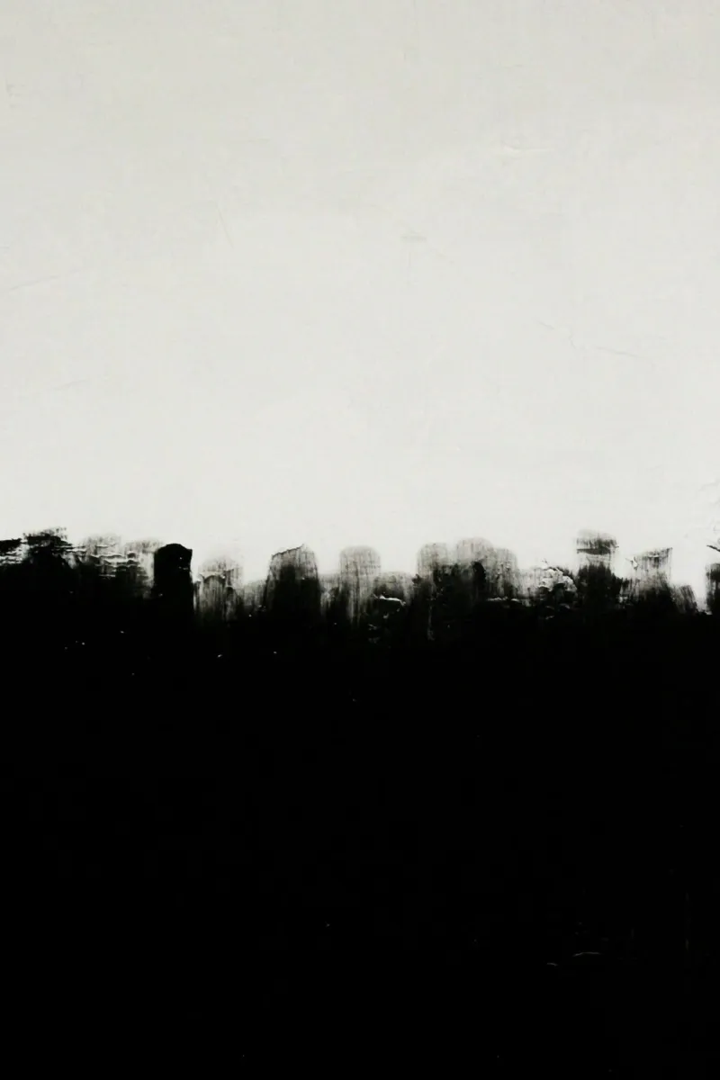 nero bianco pellicola backlit da Earthly Visions