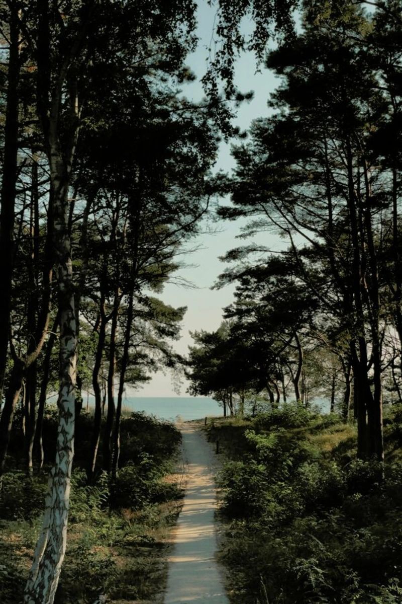 Beach Path tela da Sebastian Hilgetag