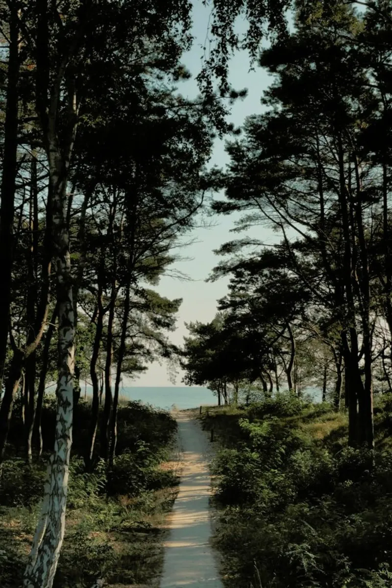 Beach Path pellicola backlit da Sebastian Hilgetag