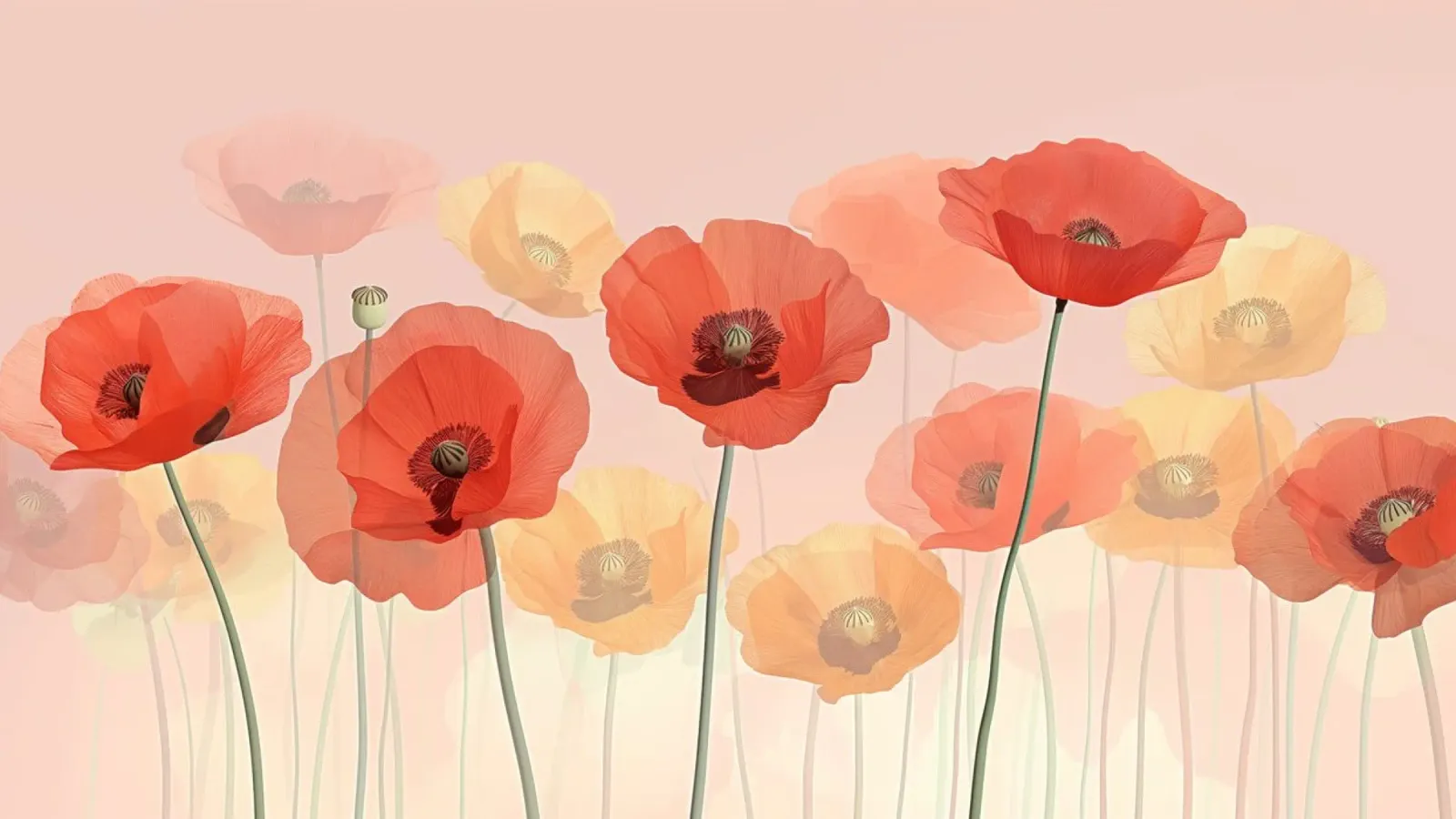 Poppies on soft pink background canvas with Floater frame by Imagine