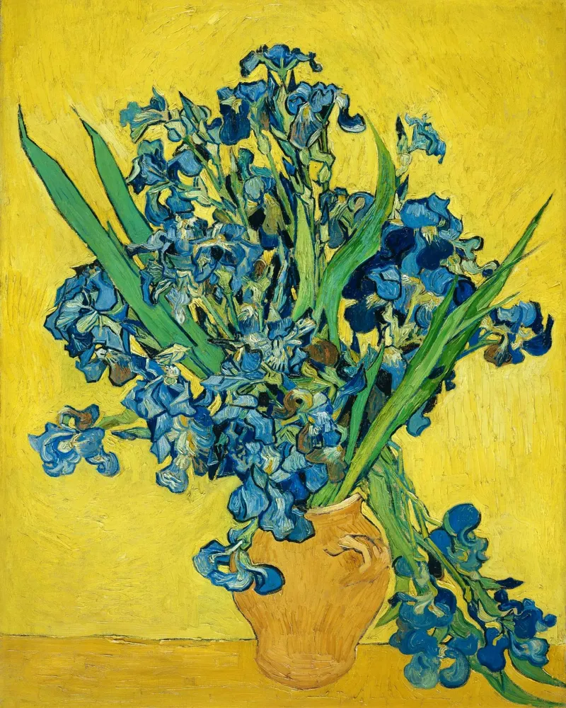 Iris di Vincent van Gogh pellicola backlit da Van Gogh Prints