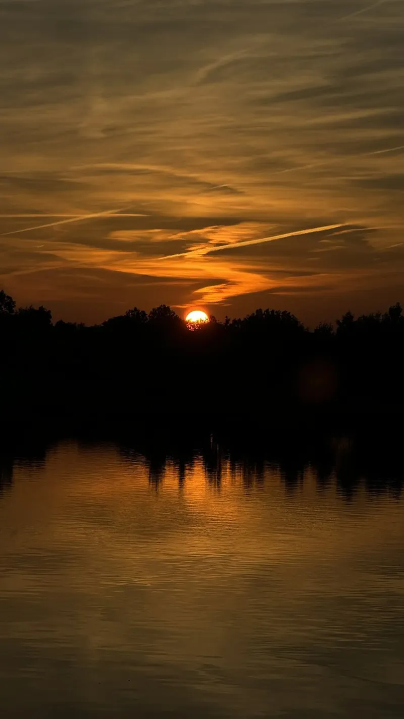 Sunset pellicola backlit da RealLifeMoments
