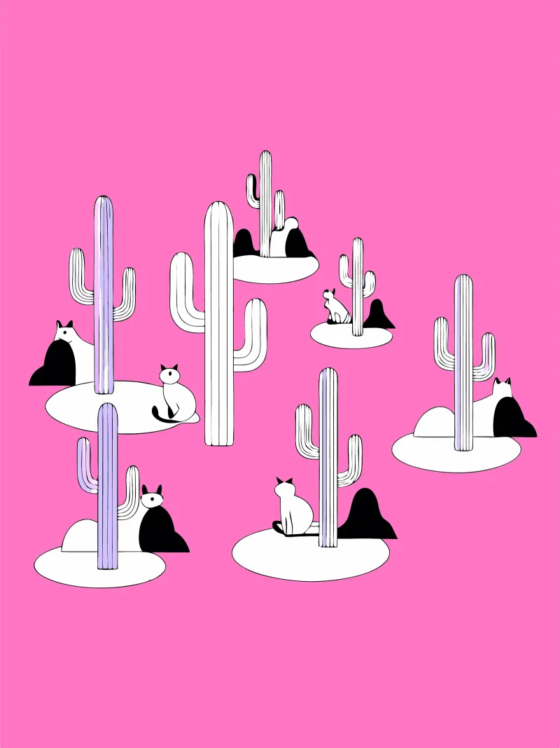 Piante di cactus plexiglass da OUR SHOP