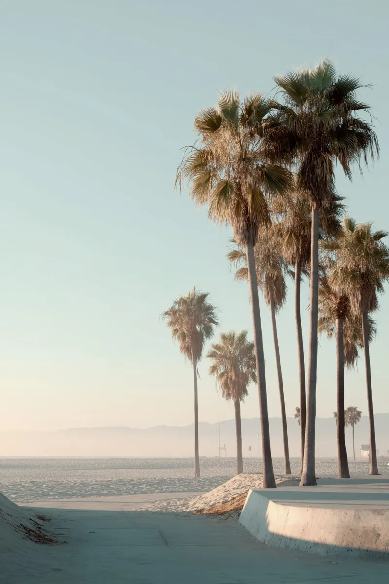 Golden Hour Palm Trees on a Coastal Beach canvas by Indigo Tides Art