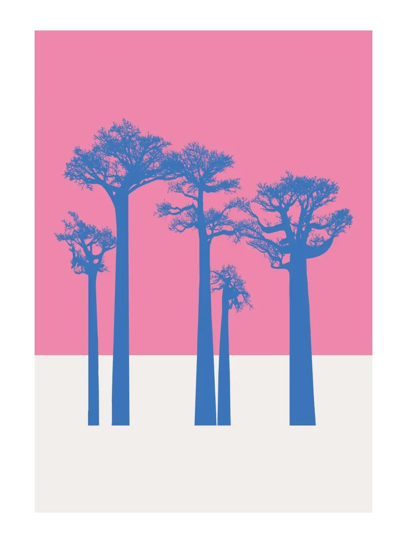 Alberi di baobab rosa e blu poster da ikonolexi