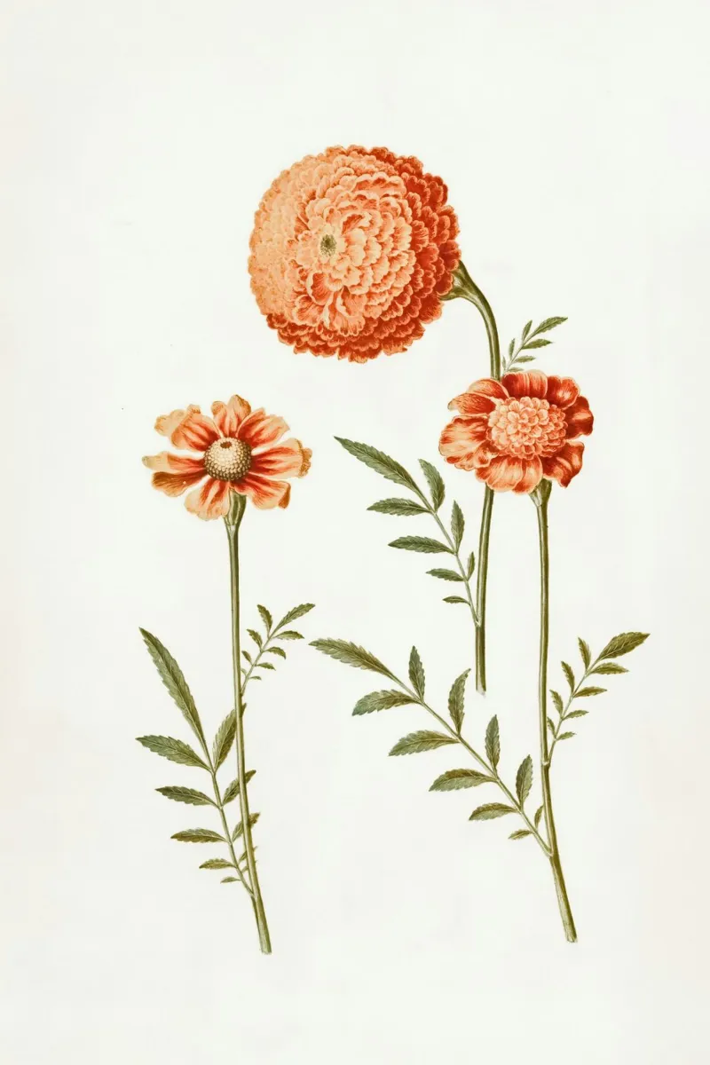 fiori botanici alluminio dibond da Earthly Visions