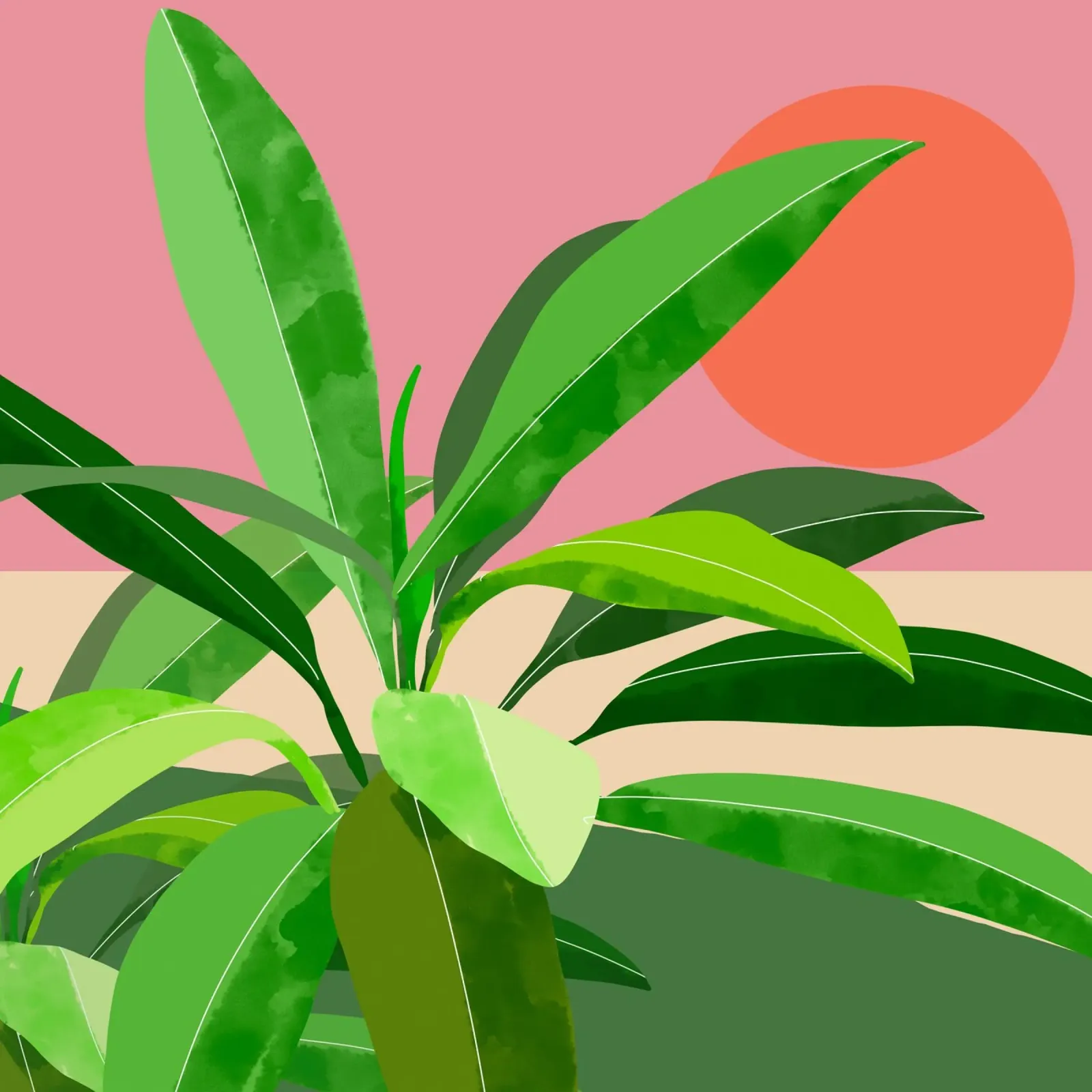 Pianta tropicale pellicola backlit da ThingDesign