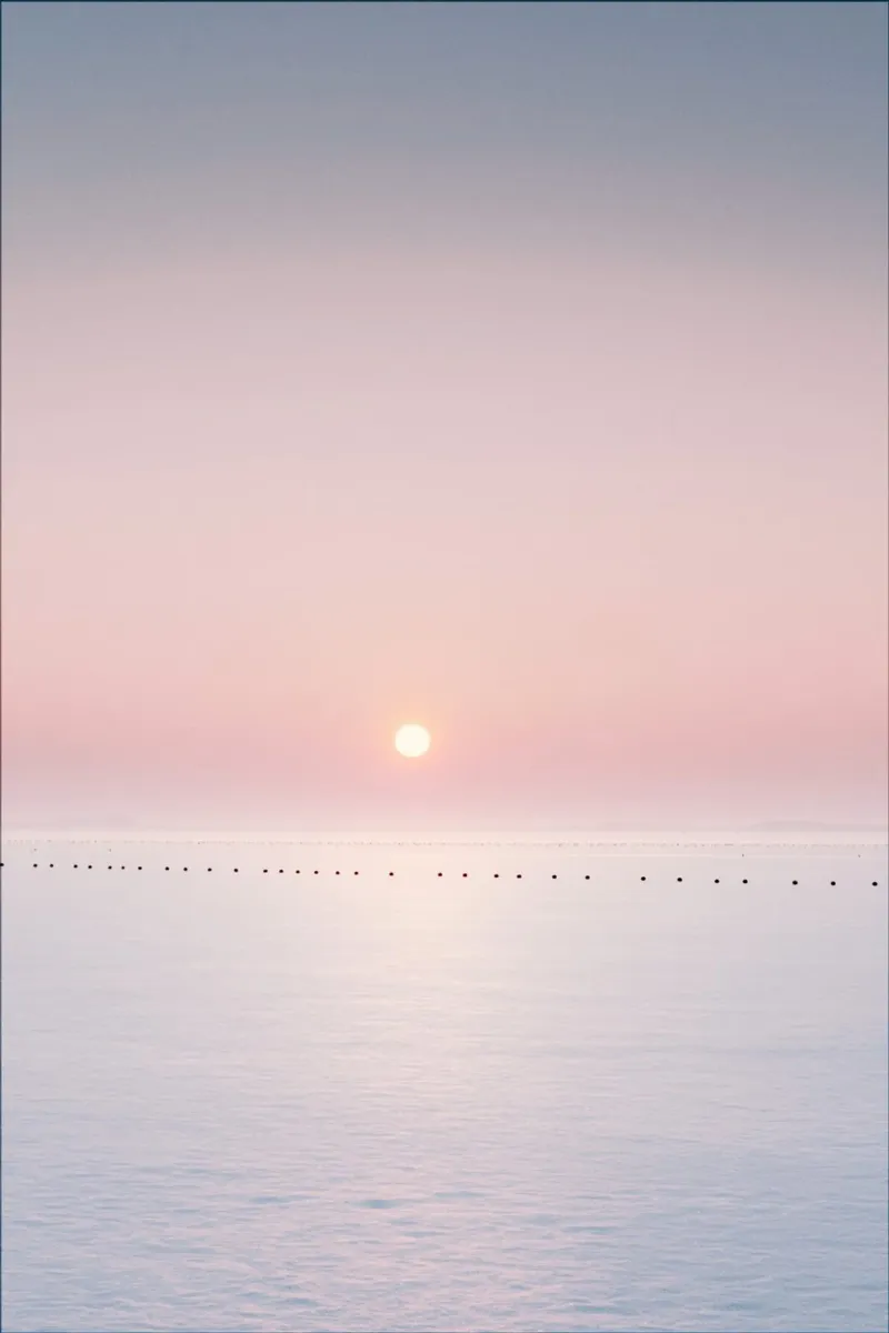 Orizzonte oceanico minimalista con tramonto rosa pellicola backlit da Indigo Tides Art