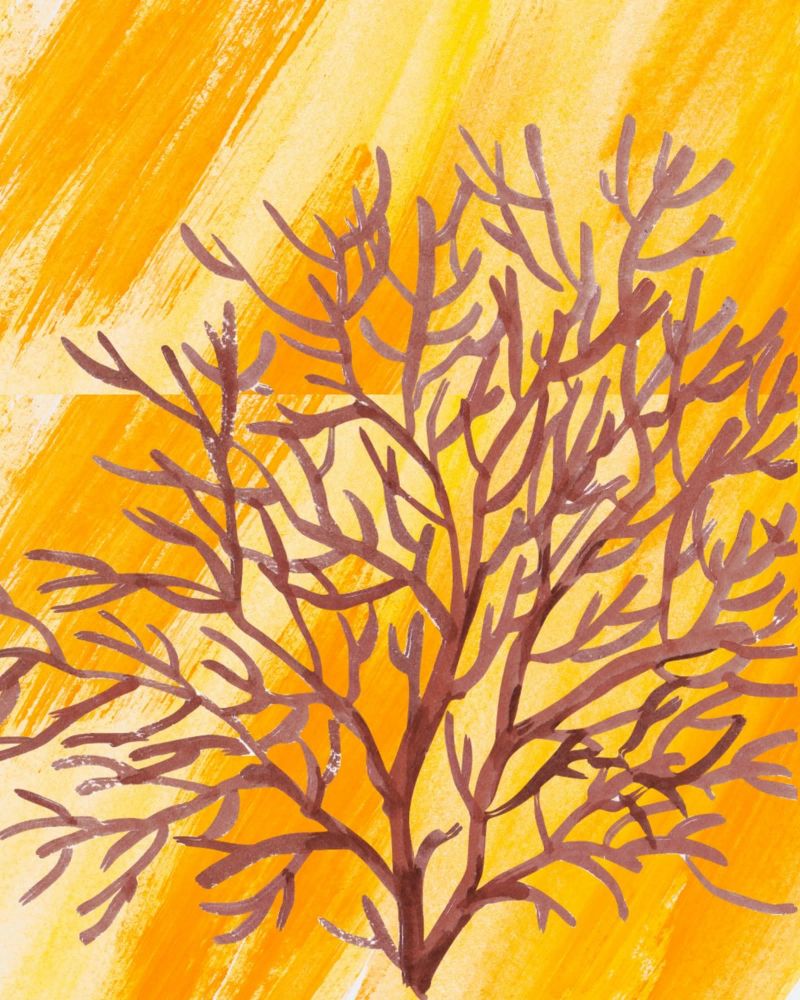 Senfgelbe Pinselstriche mit botanischem Akzent poster da nsbdesign
