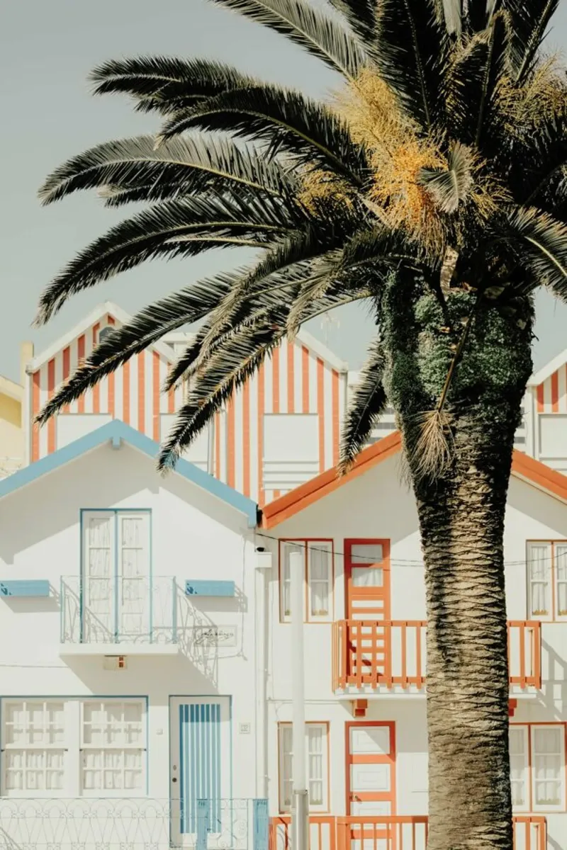 Case da spiaggia a strisce di palme pellicola backlit da Ingrid Beddoes