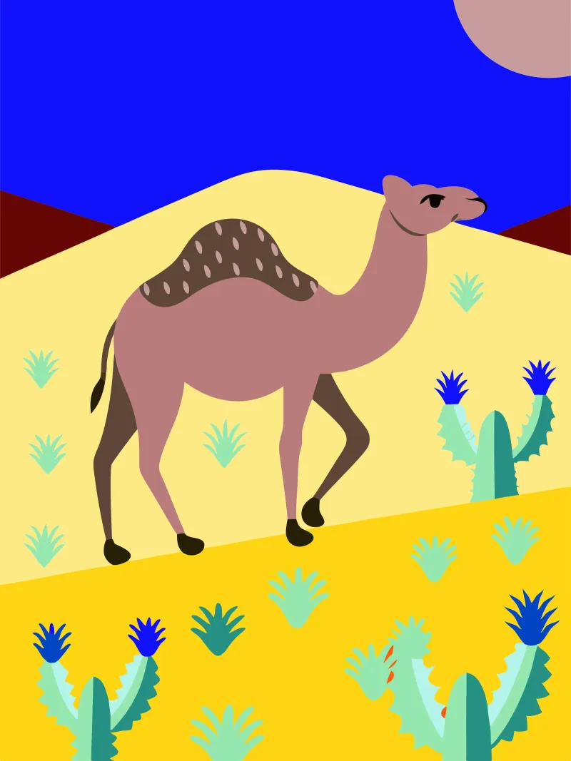 camel vector art ilustration alu-dibond by kamilaze