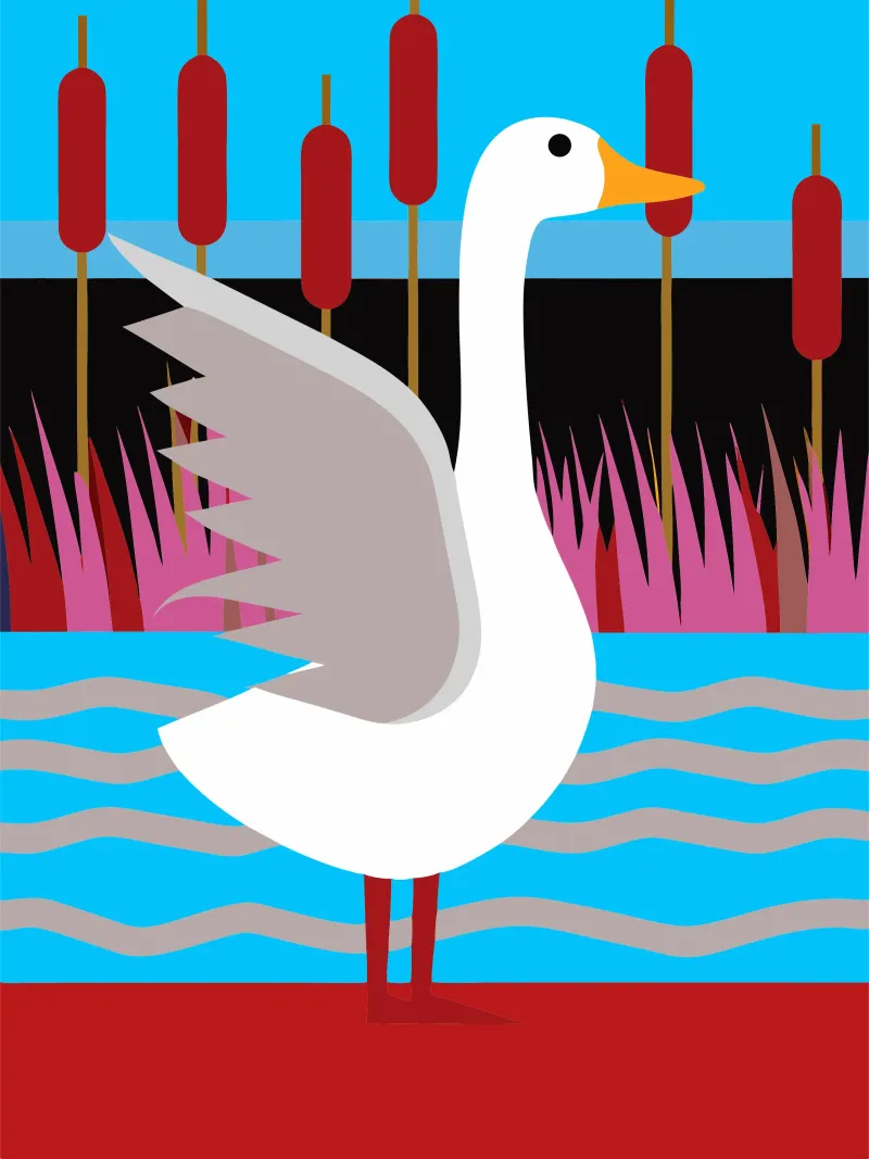 duck vector imagination canvas by kamilaze