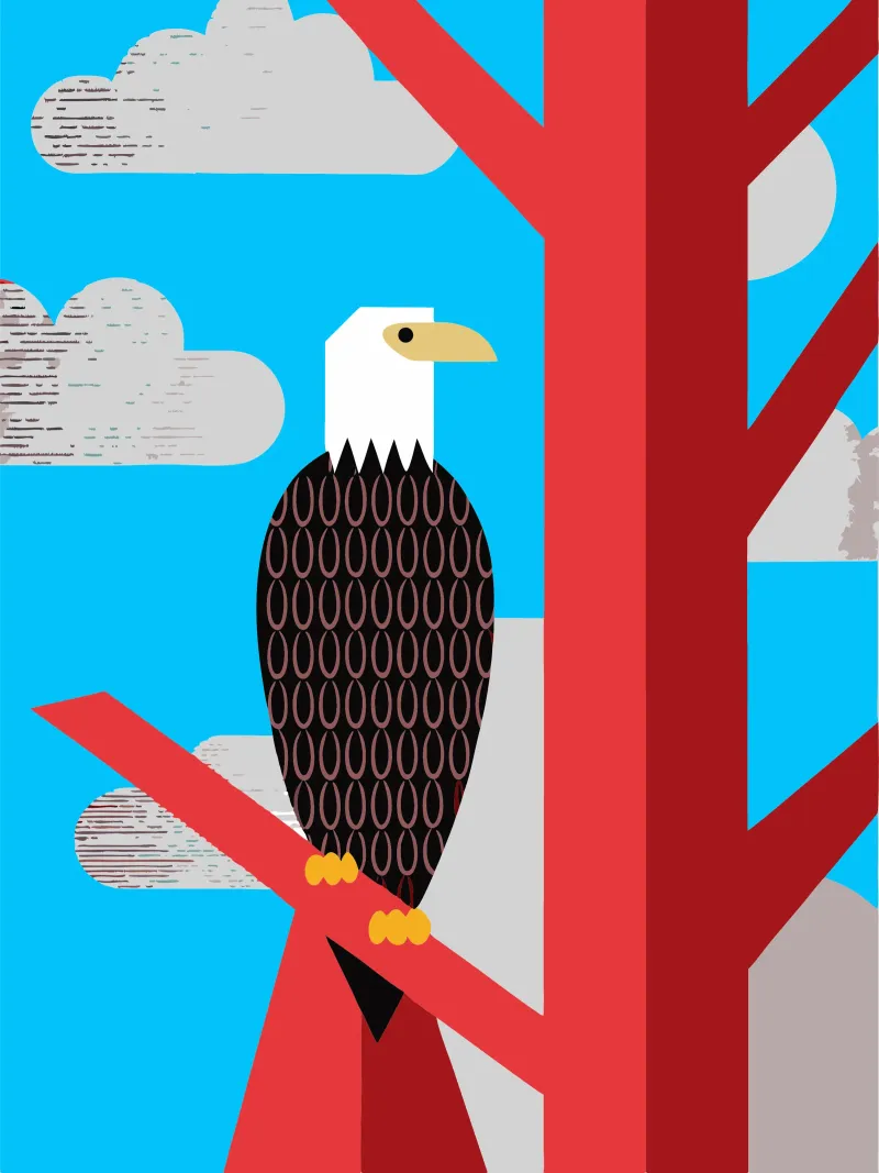 aigle style rétro ilustration vectorielle hahnemühle de kamilaze