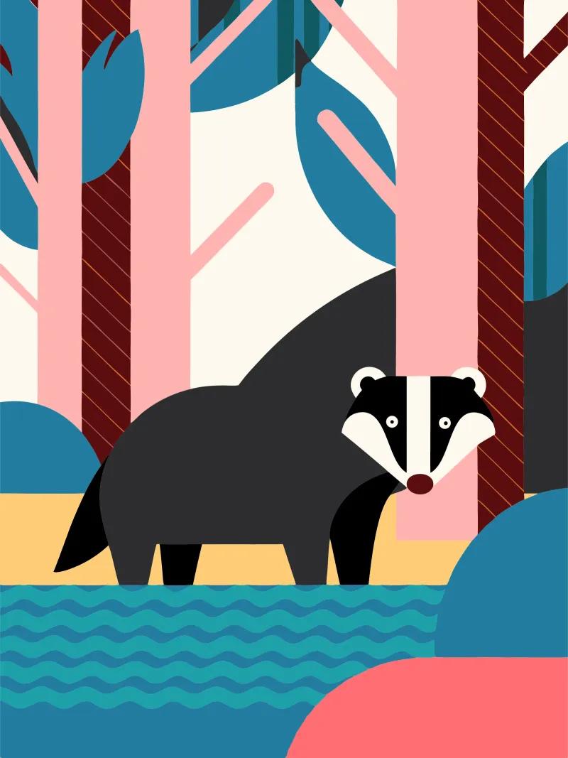 ferret vector imagination canvas by kamilaze