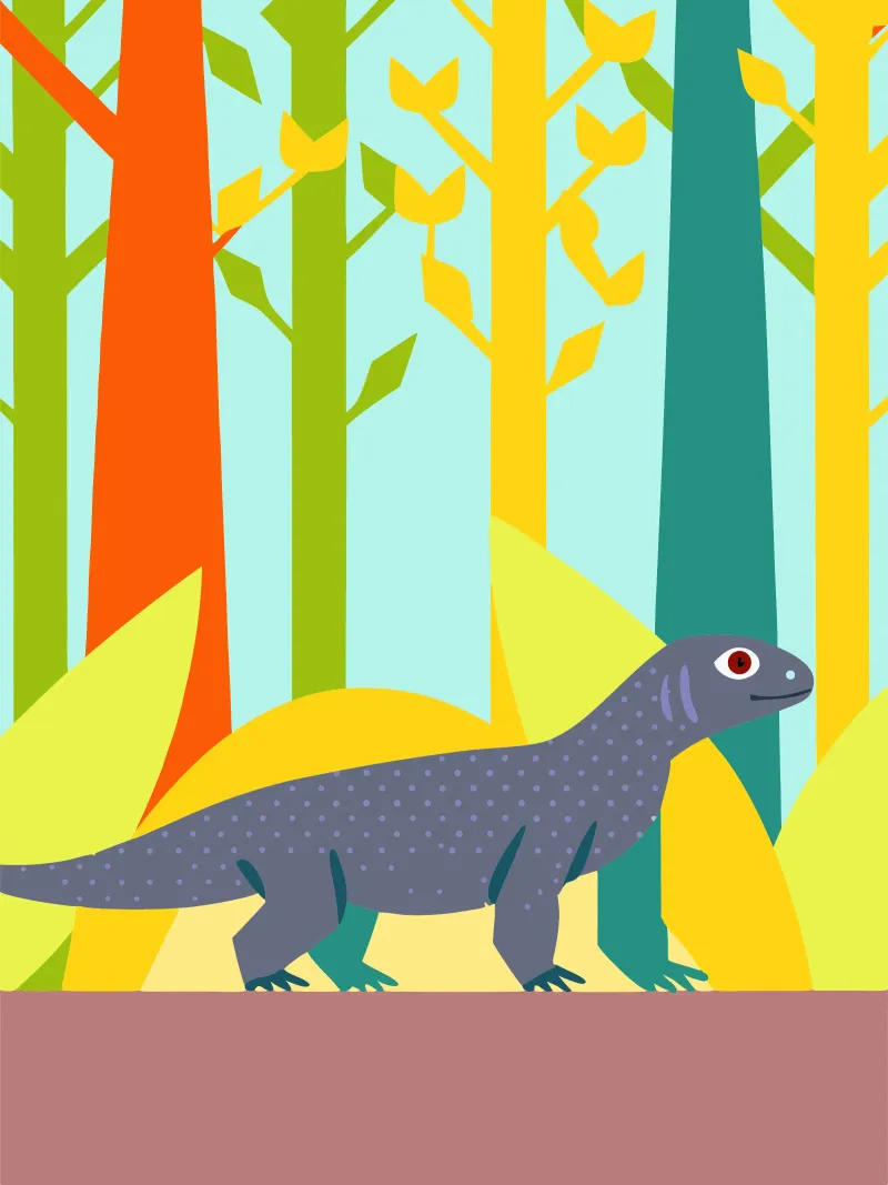 komodo vector imagination metacrilato de kamilaze