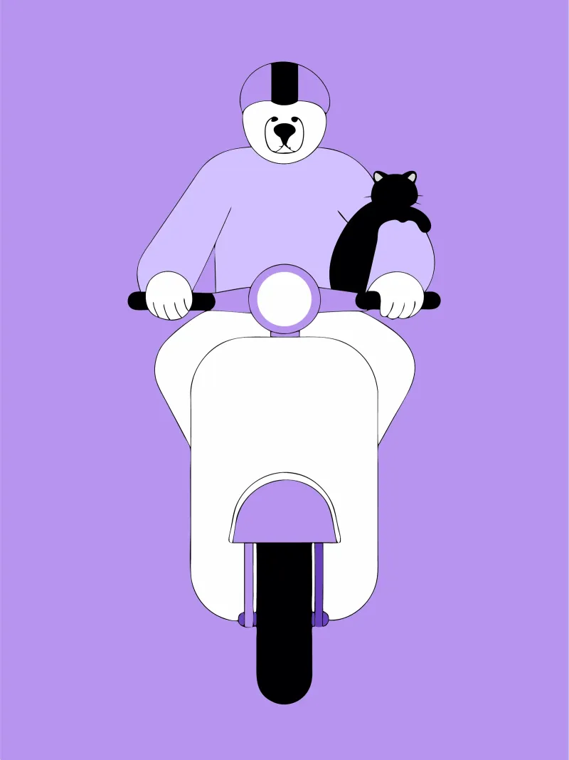 Cavalcare un orso pellicola backlit da OUR SHOP