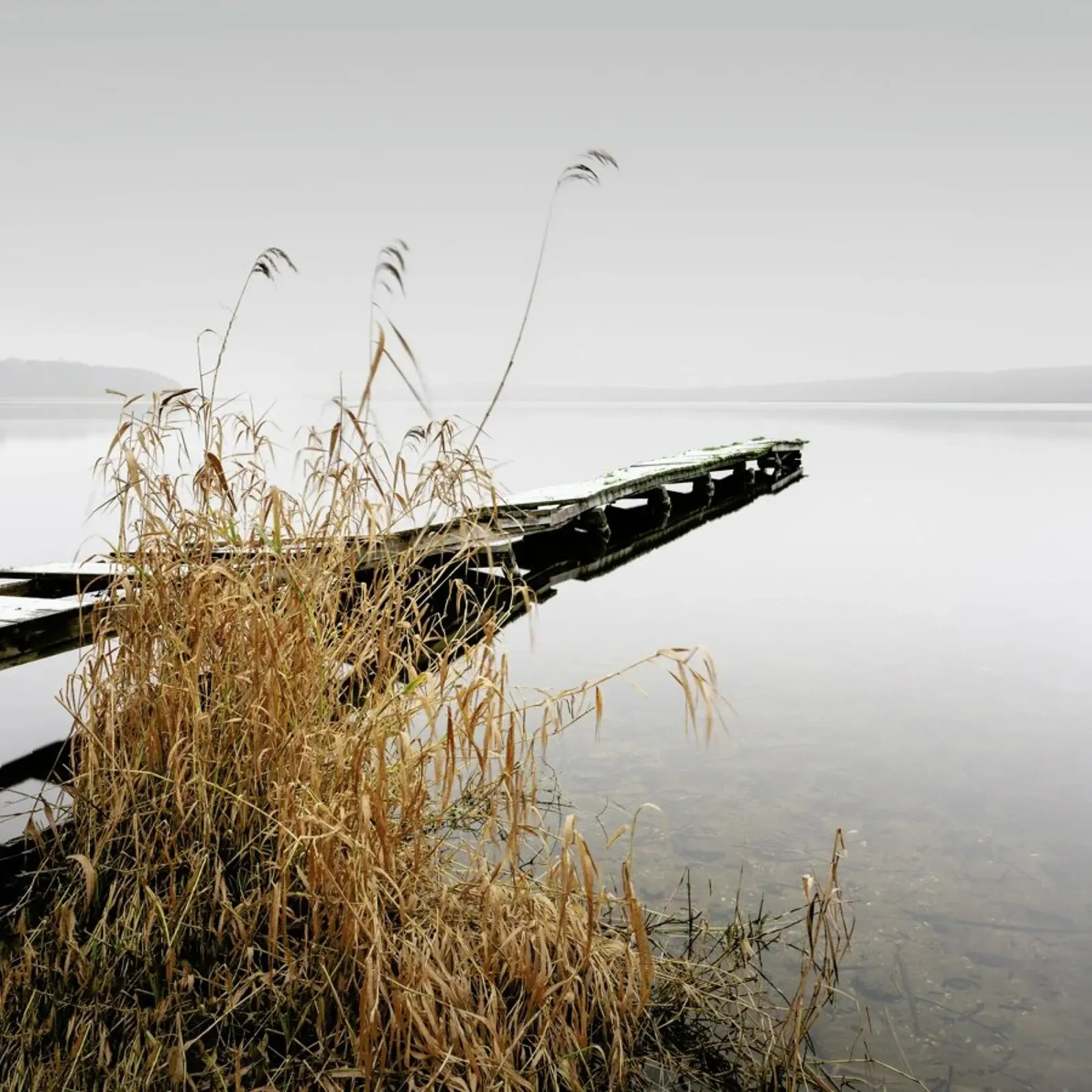 Empire Of The Lake | Schwielowsee 2021 poster con telaio in alluminio da Håggard Photography | Ronny Behnert