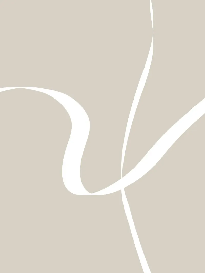 Japandi minimalist artwork with graceful lines plexiglass da Imaginative