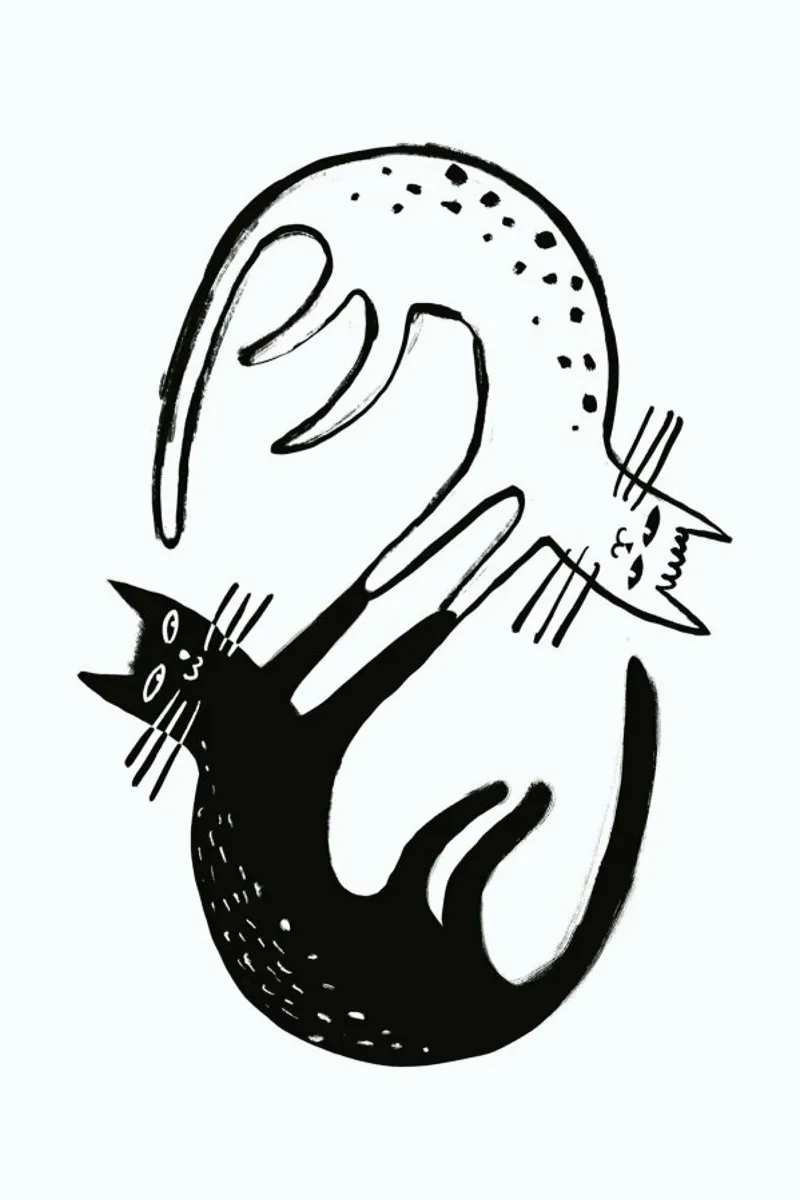 Kitten Around pellicola backlit da Graphite
