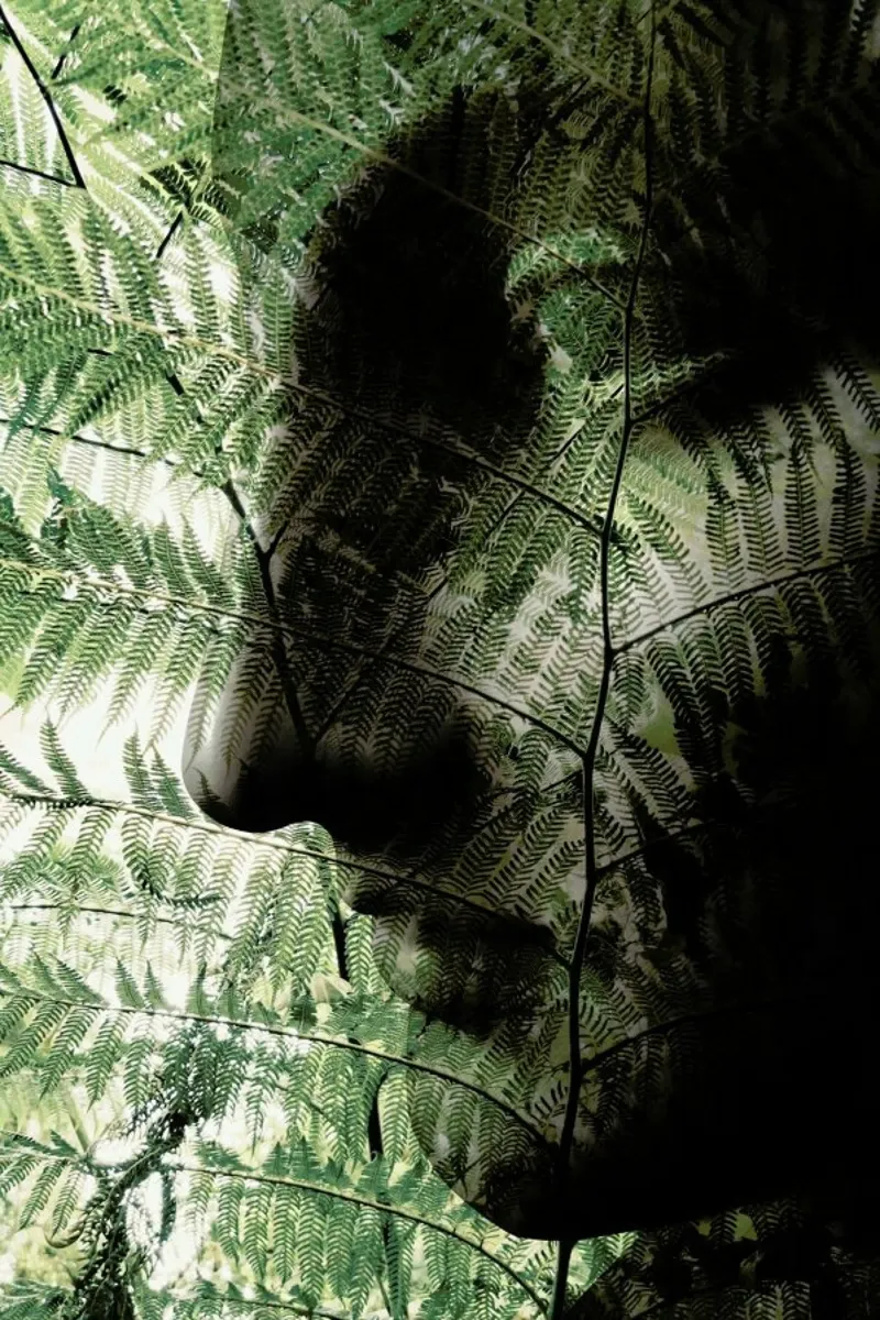Forest Goddess pellicola backlit da Angelo Cerantola