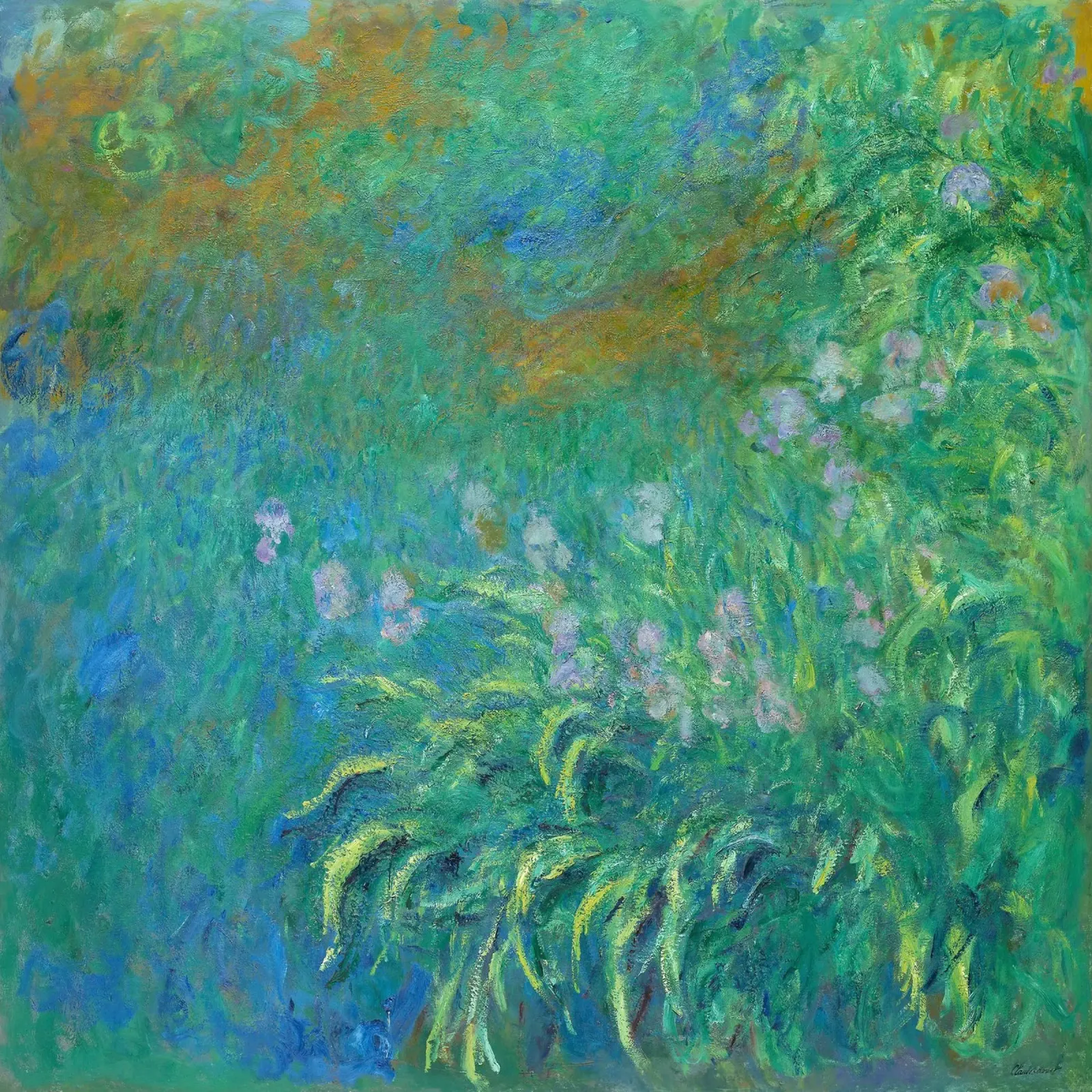 Iris di Claude Monet pellicola backlit da Monet Art Prints