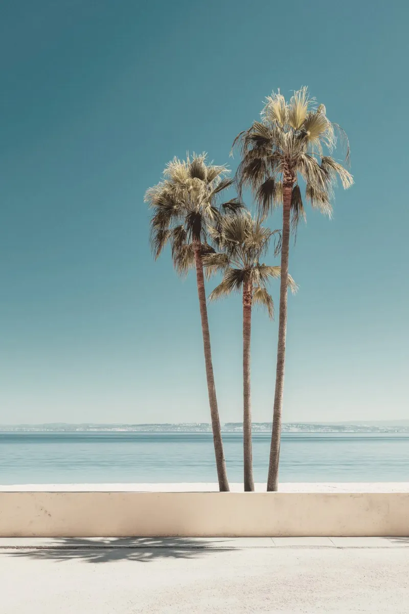 Palmiers californiens avec vue sur l'océan hahnemühle de Indigo Tides Art