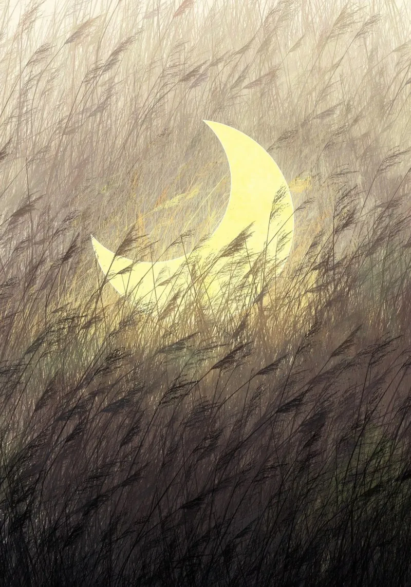 crescent moon garden poster with wooden frame by NEW LIFE