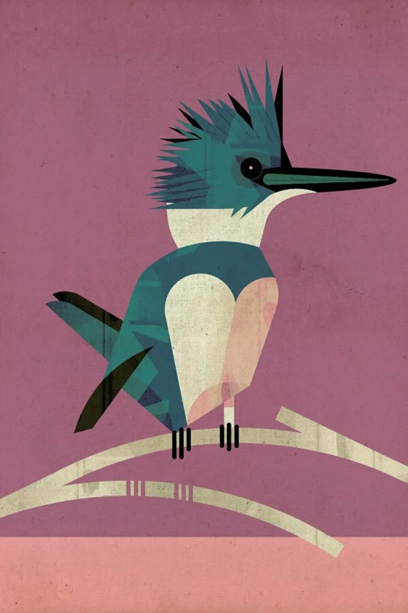 Kingfisher pellicola backlit da Dieter Braun