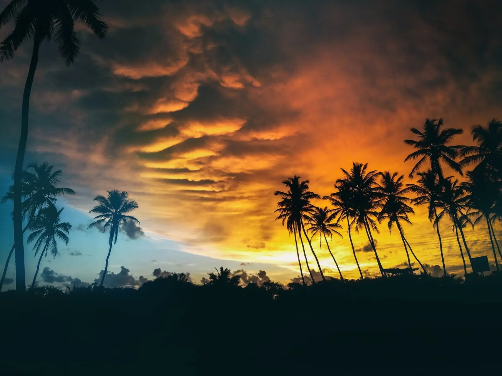 Fuoco tropicale poster da PhotoVibe Decor