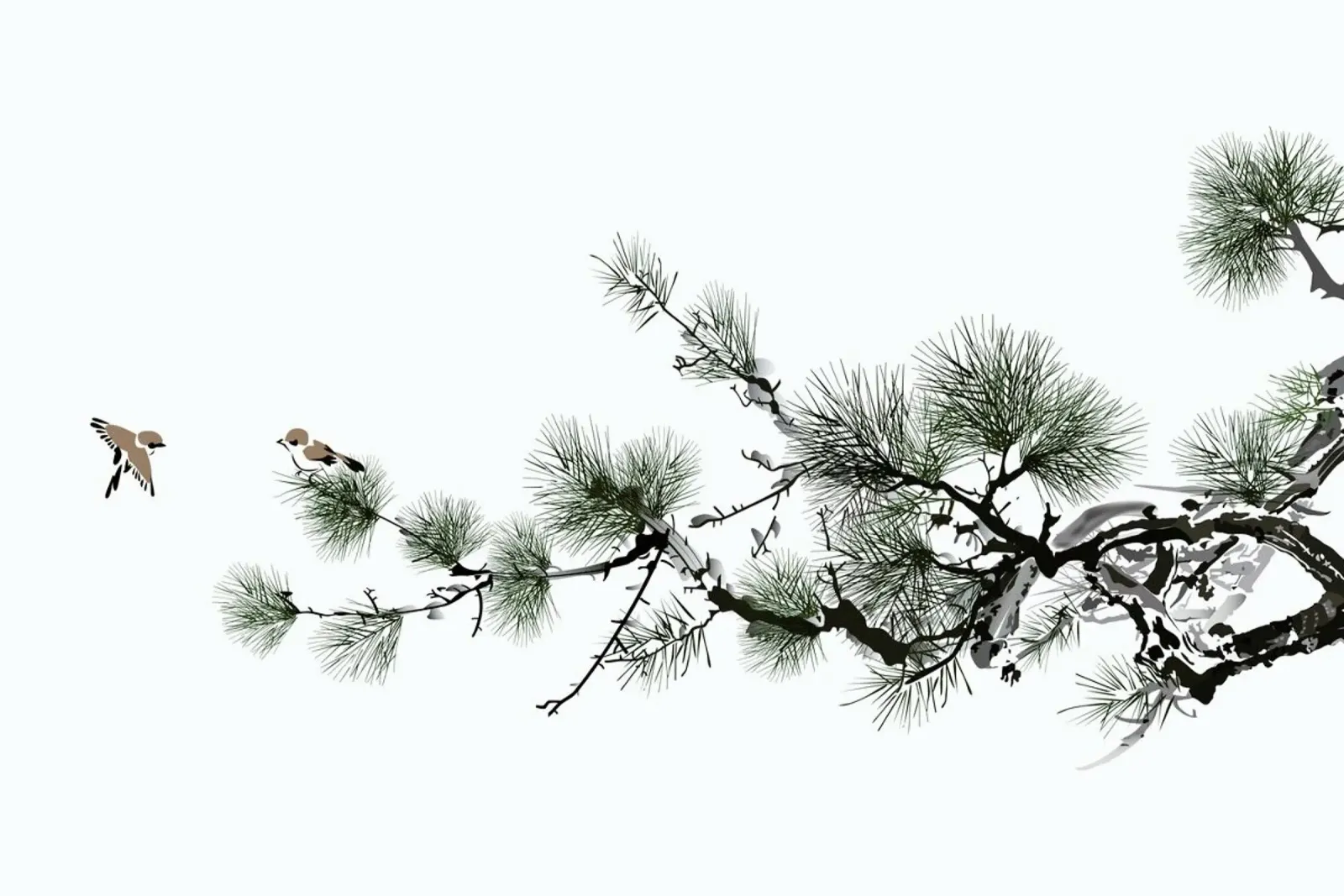 Birds and Pine II pellicola backlit da Flora & Fauna