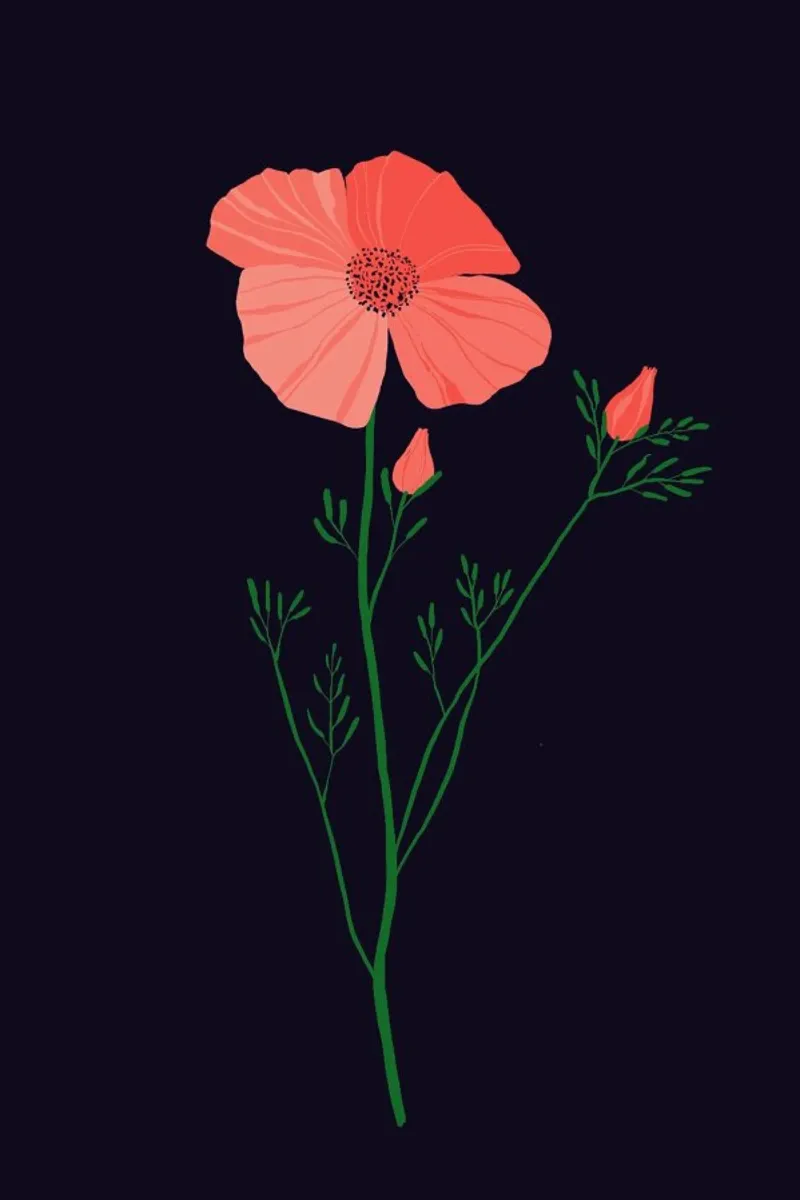 Pressed Poppy pellicola backlit da Pure