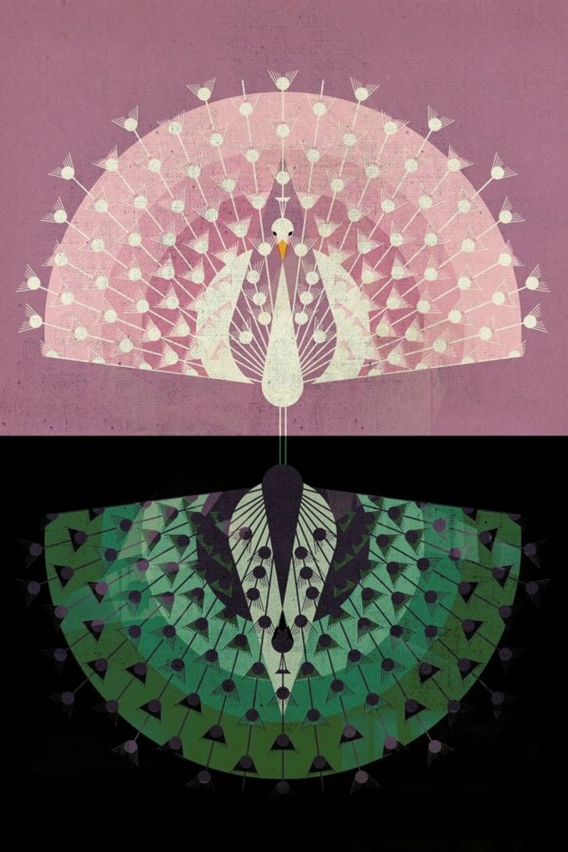 Peacock poster by Dieter Braun
