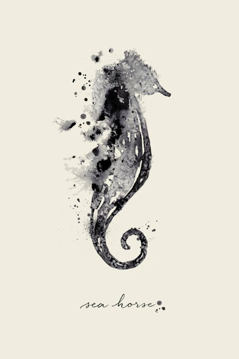 Ink Sea Horse Black & White poster by Flora & Fauna