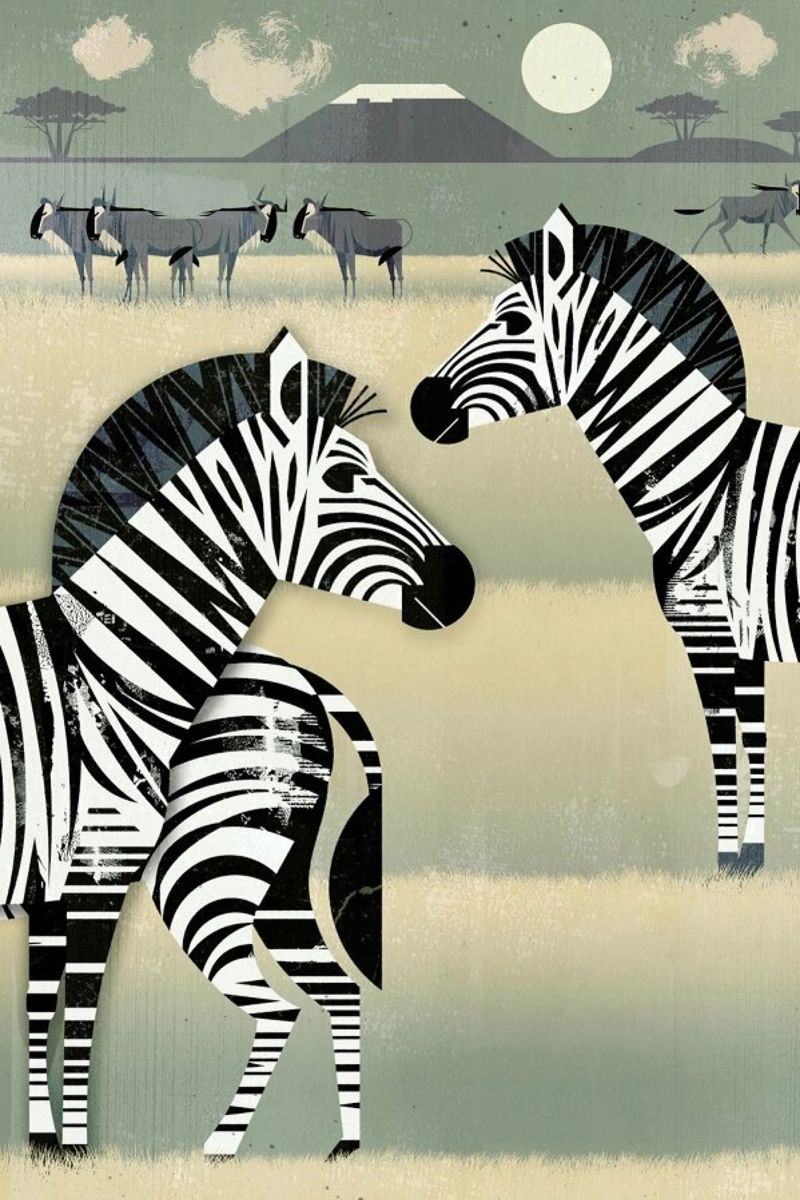 Zebra poster da Dieter Braun