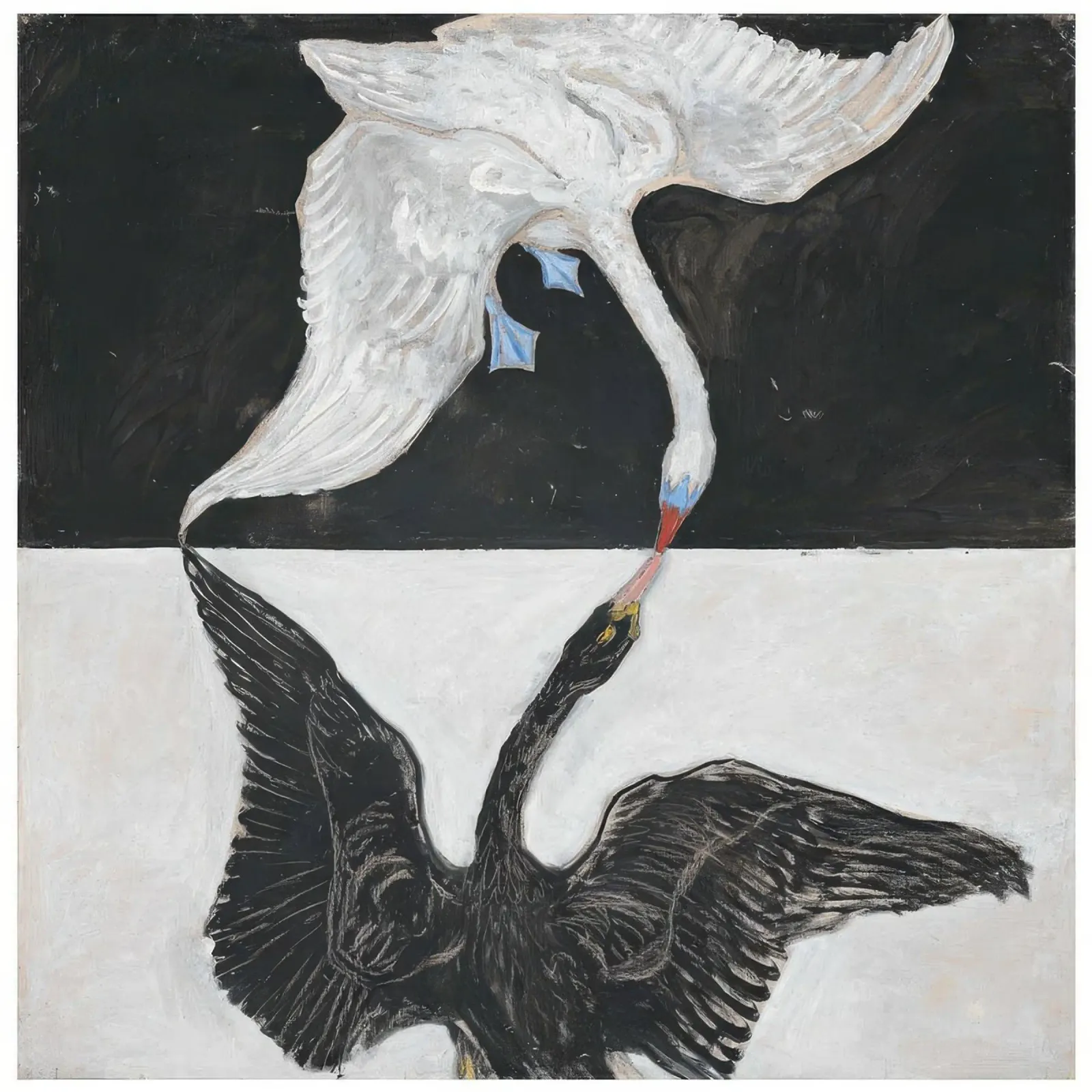 HILMA AF KLINT cigno in bianco e nero pellicola backlit da Hilma HIll