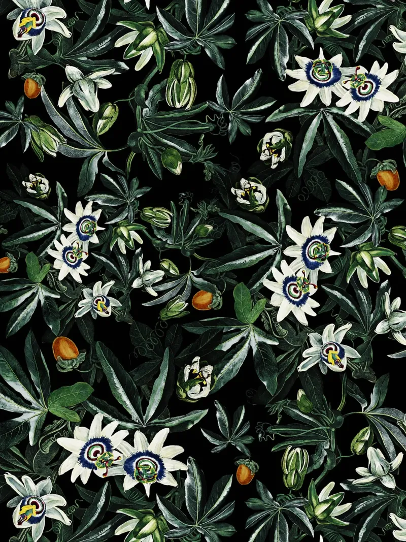 Exotic Garden - Night XI poster con telaio in plastica da burcukorkmazyurek