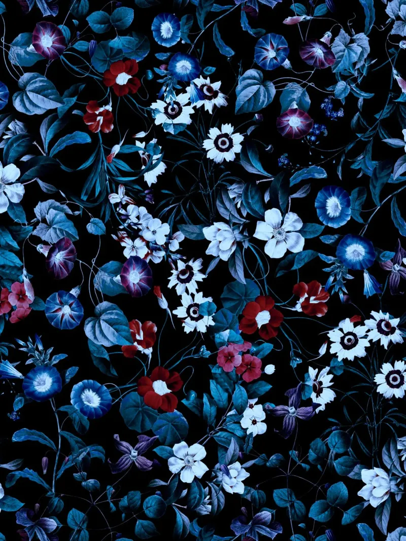 Exotic Garden - Night XIV-II pellicola backlit da burcukorkmazyurek