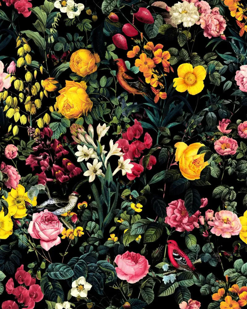 Floral and Birds Pattern pellicola backlit da burcukorkmazyurek