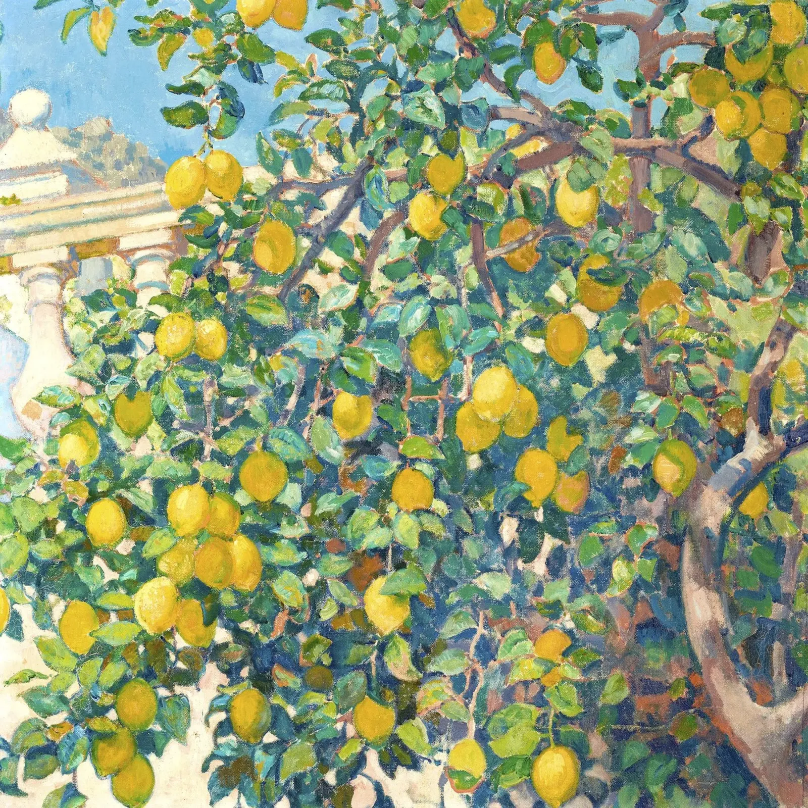 Lemons in La Mortola carta hahnemühle da apoloprints