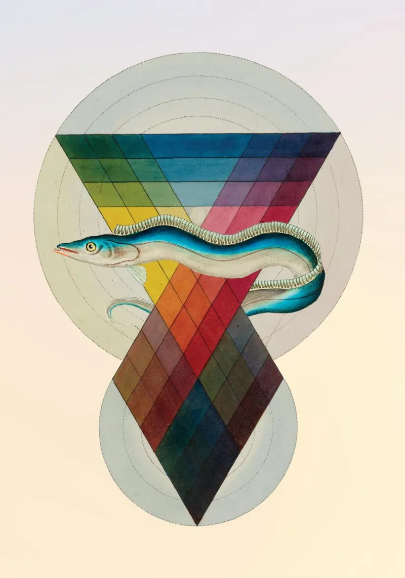 Vangelo cromatico | Stampa d'arte a collage poster con telaio in alluminio da Press Play Art Prints
