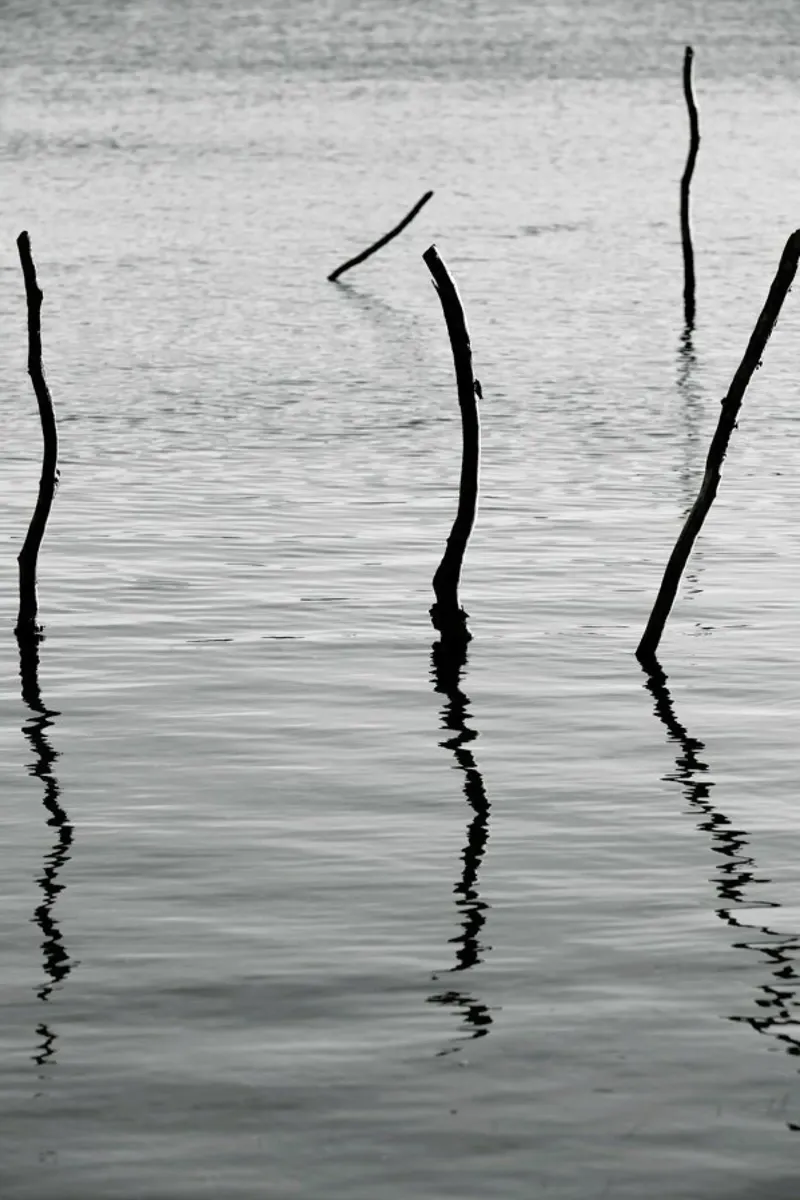 Reflect pellicola backlit da Shot By Clint
