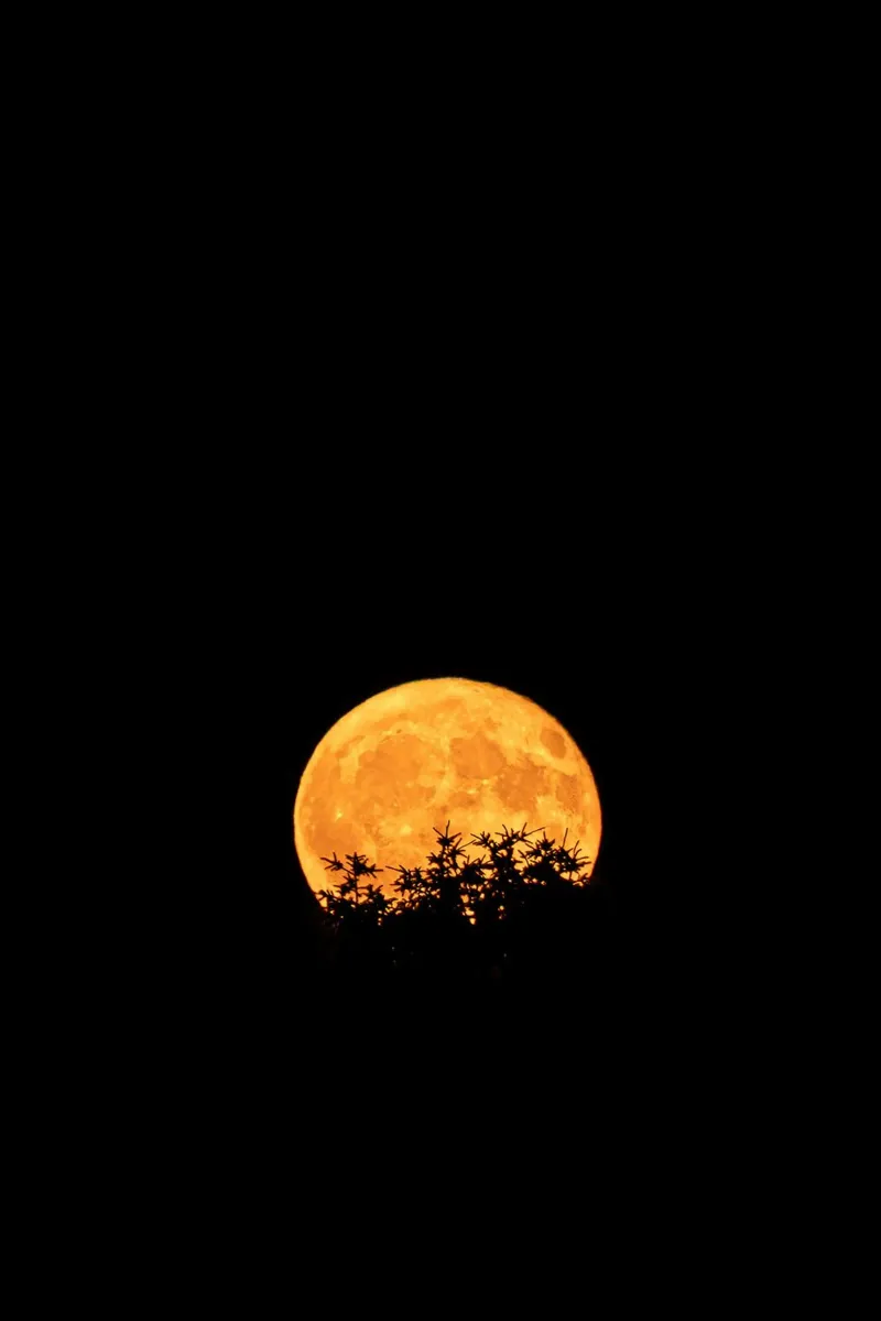 moon night alu-dibond by Earthly Visions