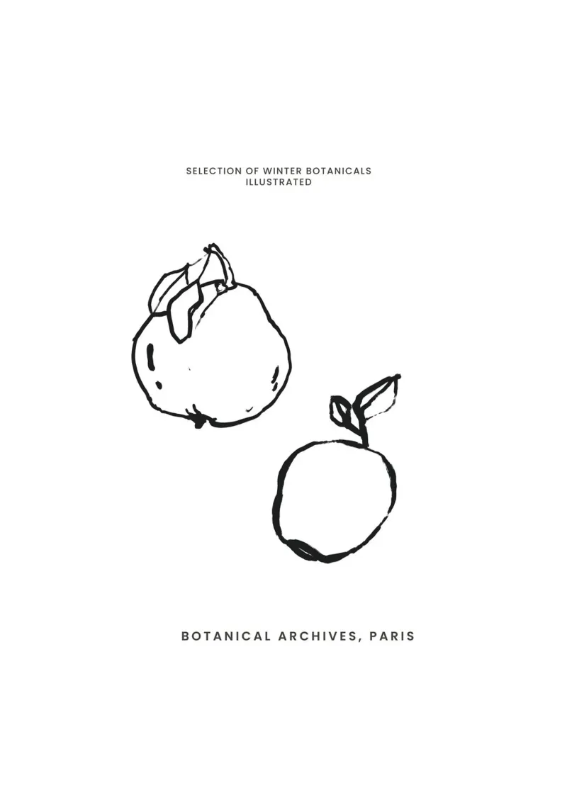 Abstract Botanic No 07 carta hahnemühle da treechild